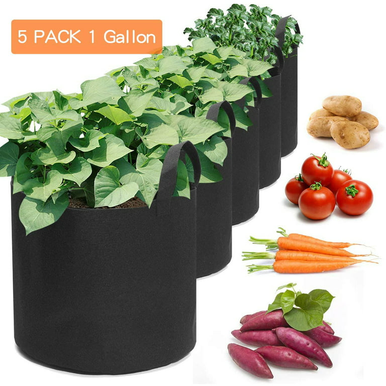 Set of 5 Vegetable Grow Bags