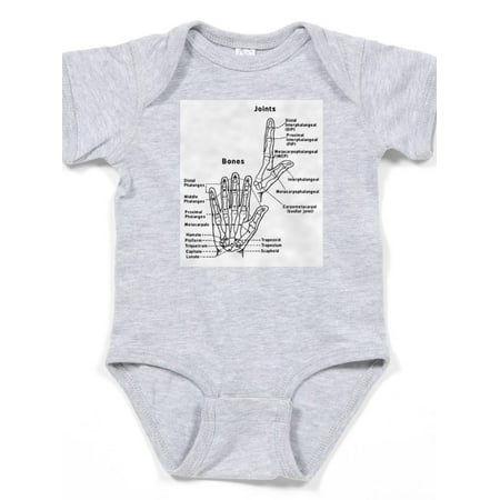 

CafePress - Hand Anatomy Body Suit - Cute Infant Bodysuit Baby Romper
