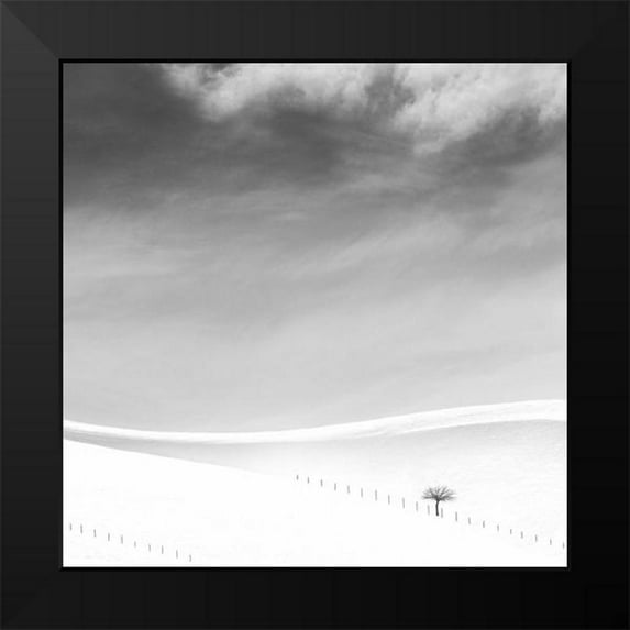 Nodeh, Mostafa 12x12 Black Modern Framed Museum Art Print Titled - Single Tree