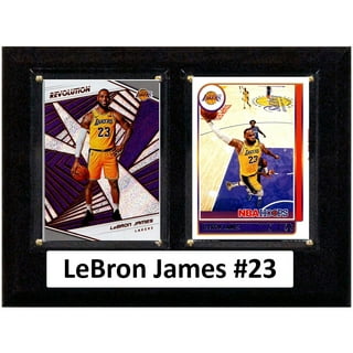 LEBRON JAMES #23 BLACK PANTHER LOS ANGELES LAKERS JERSEY & Shorts