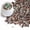 Multi, variant on 2.5 lbs Coarse Sand for Plants, 1/5 Inch Horticultural Sand for Vases, Aquariums, Terrarium, Fish Tank, Drainage Rocks for Potted Plants, Bamboo, Succulent, Crafts, Cactus