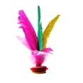 thumbnail image 1 of Kuymtek Ejercicio Volante Plumas Pollo Patada Pie Elegante China Jianzi, 1 of 9