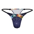 Zodiac Wheel Zodiac Signs Women's Thongs Panties GStrings Tback