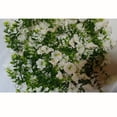 thumbnail image 3 of ZheElen 2x Outdoor Artificial Flower Wall a vibrant Hanging Vibrant Colors For Any Event Adding Re, 3 of 6