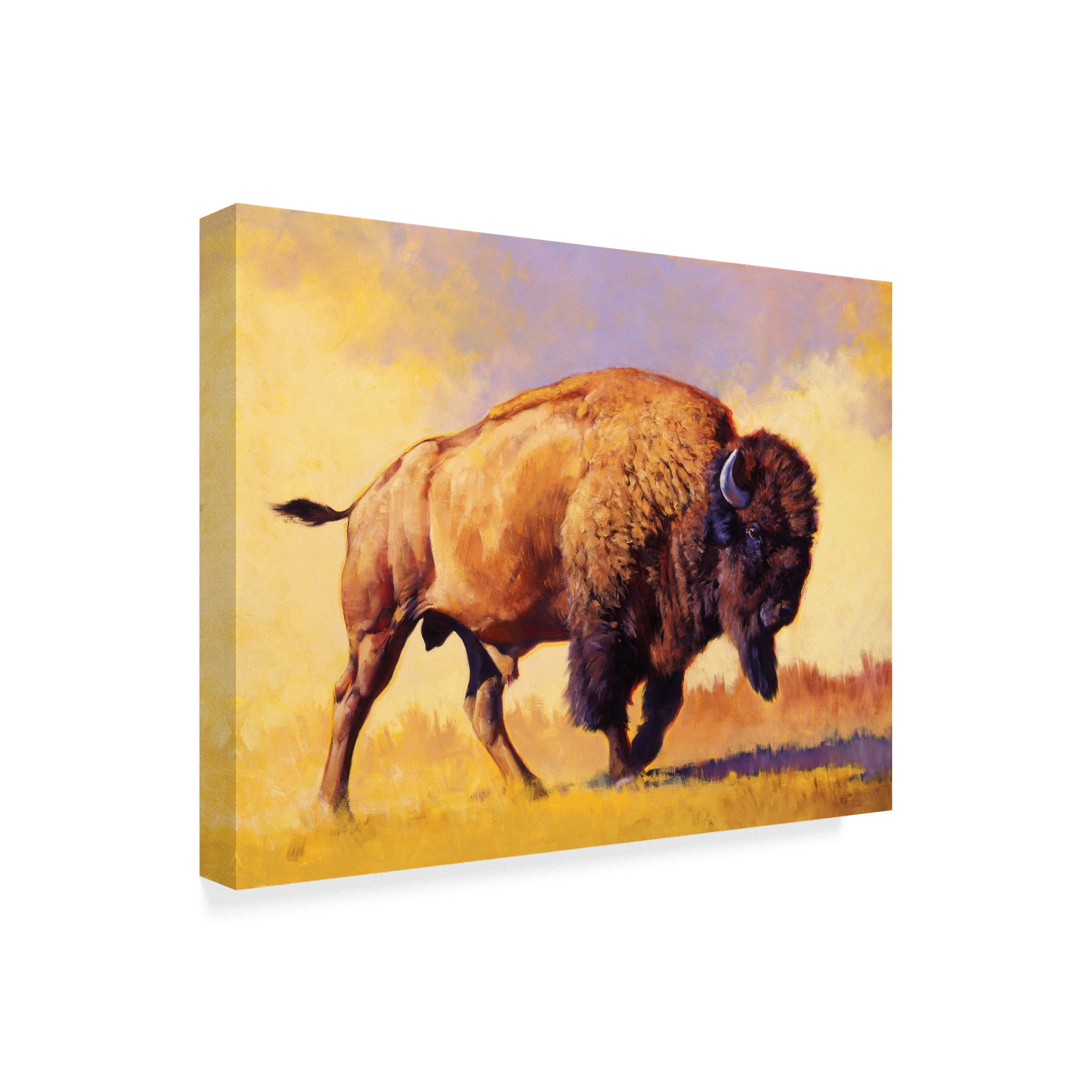 Trademark Fine Art 'Tatanka' Canvas Art by Julie T. Chapman