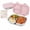 Pink, variant on Stainless Steel Bento Box, 28oz Metal Bento Lunch Box,3 Compartments BPA Free Lunch Box Containers, 304 Stainless Steel Bento Box for Office,Picnics & Travel(Purple)