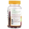 thumbnail image 2 of Lifeable Kids, Apple Cider Vinegar With the Mother Gummies, Apple, 60 Gummies, 2 of 4