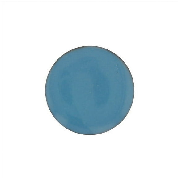 1525 Aqua Blue Thompson Opaque Enamel 8 Ounce