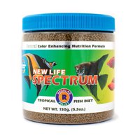 fish food aquarium and