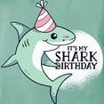 thumbnail image 3 of CafePress - Shark Birthday T Shirt - Womens Comfort Colors® Shirt, 3 of 4