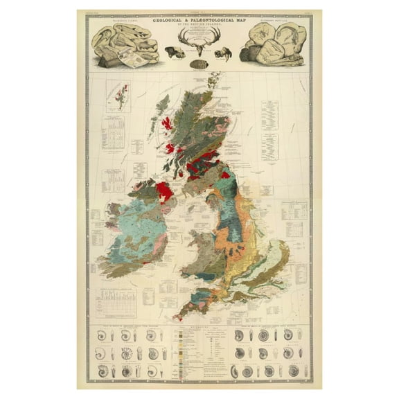 Global Gallery's 'Composite: Geological, palaeontological map British Islands, 1854' By Alexander Keith Johnston Unframed Giclee on Paper Print