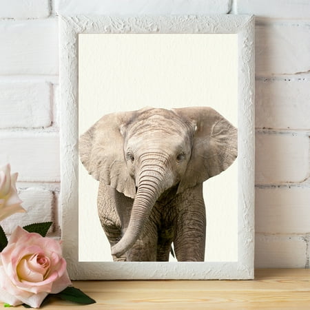 Baby Zoo Elephant Nursery Wall Decor Farm Baby Animal Art Print
