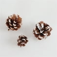 thumbnail image 5 of Happon White Pine Cones, Suitable for Christmas Tree Home Decoration DIY Production of Crafts (18 Pcs), 5 of 6