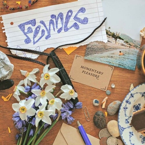 Fennec - Momentary Pleasure - Music & Performance - Vinyl