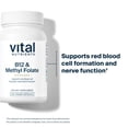 thumbnail image 3 of Vital Nutrients Vitamin B12 & Methyl Folate | Vegan Methylated Folate & B12 Supplement | 5-MTHF plus B12 Supports Nervous System & Metabolism | Gluten, Dairy, Soy Free | 100 Capsules, 3 of 5