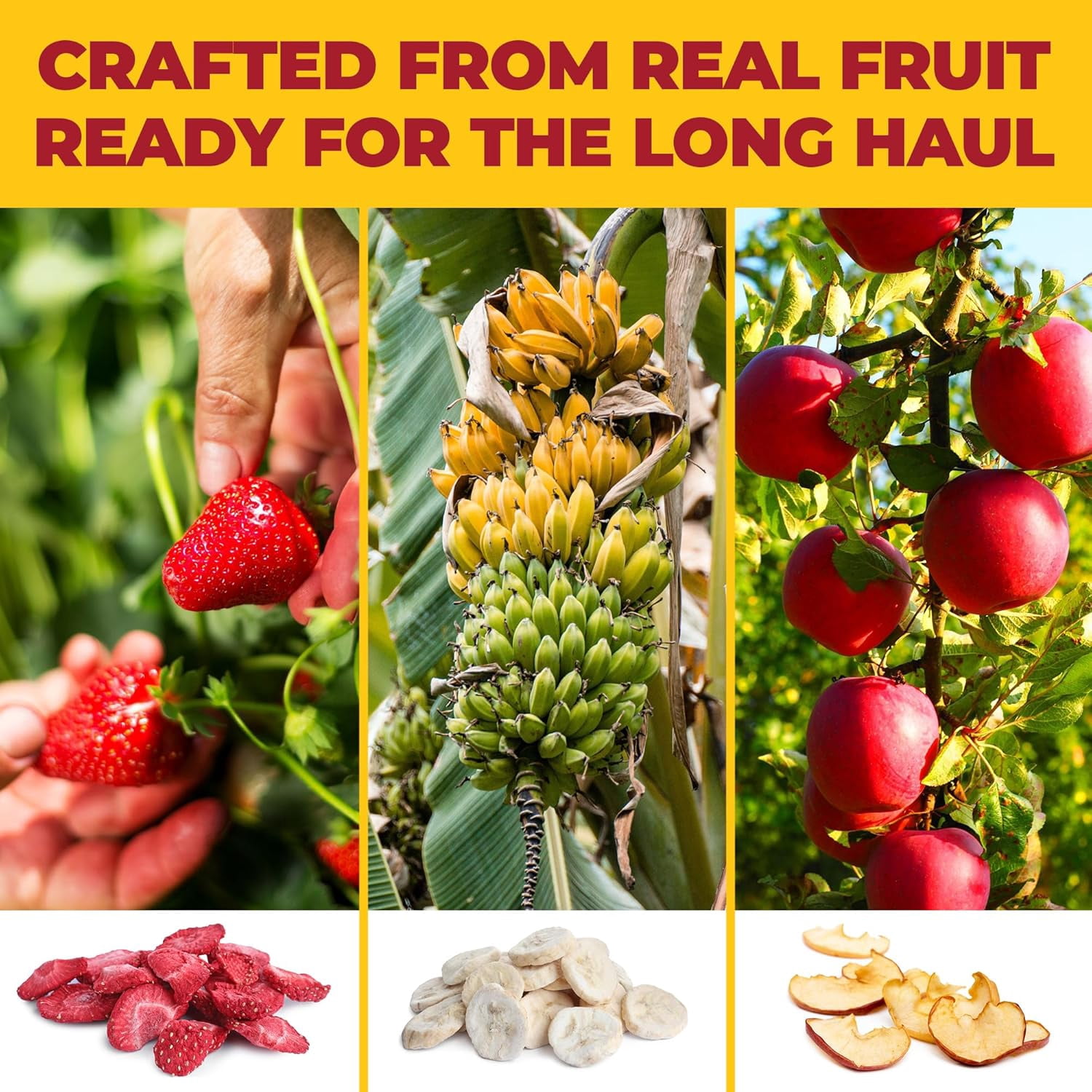 Zest Delites Freeze Dried Fruit, Strawberries, Apples, Bananas, Healthy Adult Snack, 18 Pack