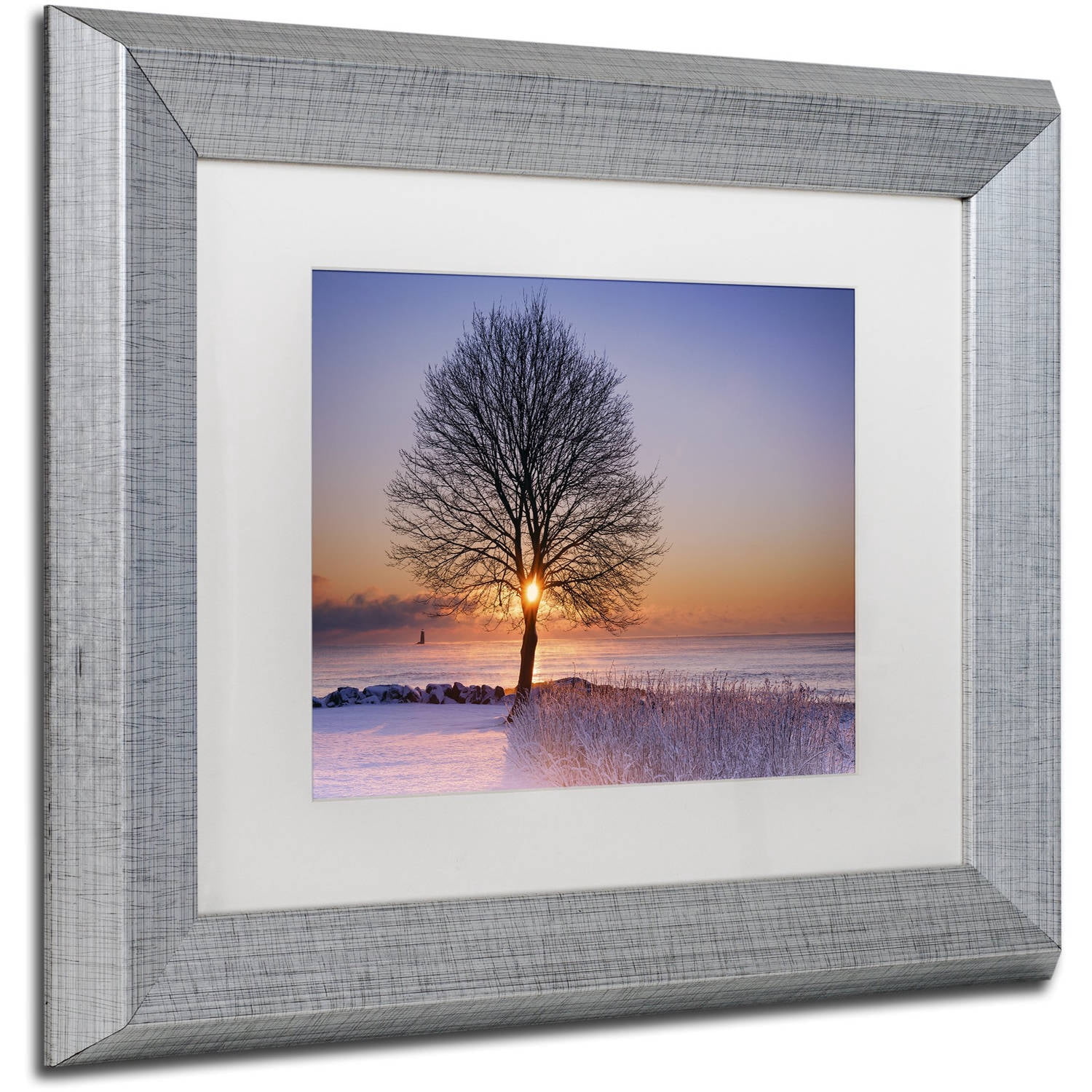 Trademark Fine Art "Tree Burst" Canvas Art by Michael Blanchette Photography White Matte, Silver Frame