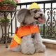 thumbnail image 4 of unbranded Ropa Para Perro Estilo Para Peticiones De Fiesta Y Presentaciones, 4 of 6