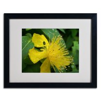 Trademark Fine Art "Mana" Canvas Art by Monica Fleet, White Matte, Black Frame