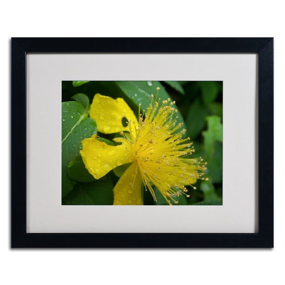 Trademark Fine Art "Mana" Canvas Art by Monica Fleet, White Matte, Black Frame