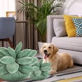 thumbnail image 3 of Jolie Succulente Cactus, Lit Maison R Nouveauté P Cush, 3 of 5