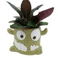thumbnail image 3 of Snaggle Tooth Green  Halloween Planter with House Plant -4" Green Ceramic Pot, 3 of 4