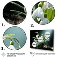 thumbnail image 3 of Designart "White Snowdrops landscape I" Floral Wall Art Print, 3 of 5