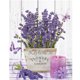 thumbnail image 1 of Pintura de diamante de lavanda, pintura de diamante de lavanda, kits de pintura de diamante de lavanda violeta para decoración de la oficina en el hogar, 30x40 cm ER, 1 of 5
