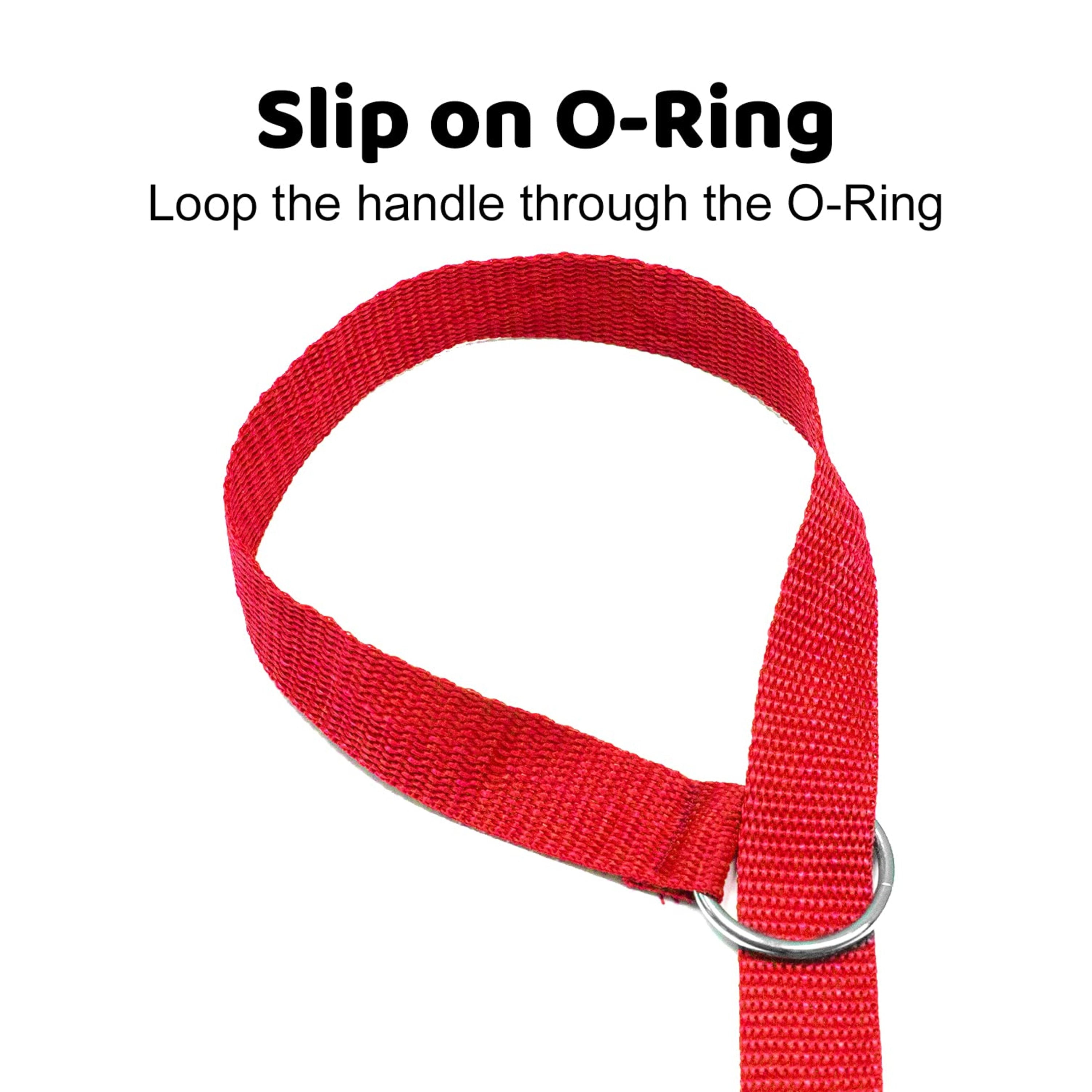 Downtown Pet Supply Slip Lead Dog Leash, Universal Slip Leash, O Ring, 12 Pk