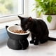 thumbnail image 4 of YiJuHui 3pcs Elevated Cat Food Bowl with Wide Shallow Design, Anti-Whisker Fatigue Pet Dish, Non-Slip Base for Mess-Free Feeding, Durable Plastic Pet Bowl for Comfortable Eating and Drinking, 4 of 6