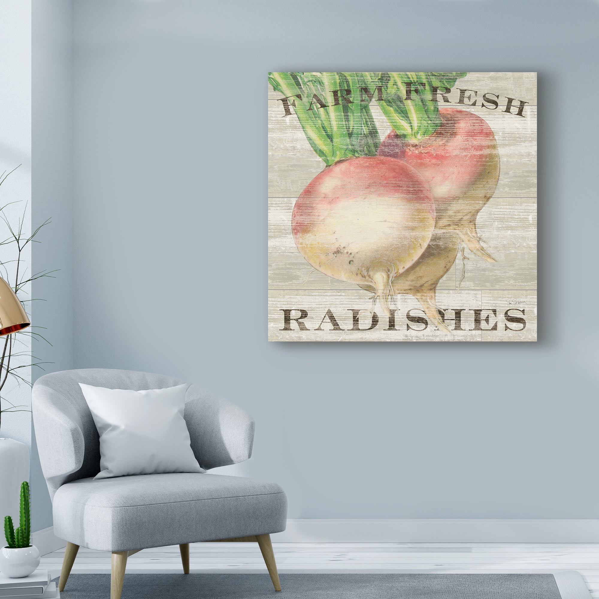 Trademark Fine Art 'Farm Fresh Radishes' Canvas Art by Sue Schlabach