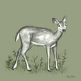 thumbnail image 2 of Wilson, Kelsey 20x20 White Modern Wood Framed Museum Art Print Titled - Watercolor Pencil Forest color XII-Fawn 2, 2 of 4