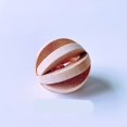 thumbnail image 2 of Dailihome Hamster Chew Toys Natural Pine Wood Small Animal Exercise Toy with Bell Roller for Guinea Pigs Rats Chinchillas Bunny, 2 of 6