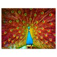 thumbnail image 2 of Peacock Dancing - Animal Photography Art, 2 of 3