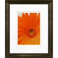 thumbnail image 1 of Timeless Frames 55297 8 x 10 in. Daisy in Bloom Photo Frame, 1 of 1