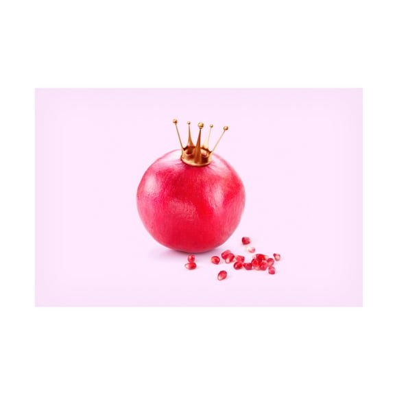 Trademark Fine Art Artem Pozdniakov Pomegranate King Canvas Wall Art