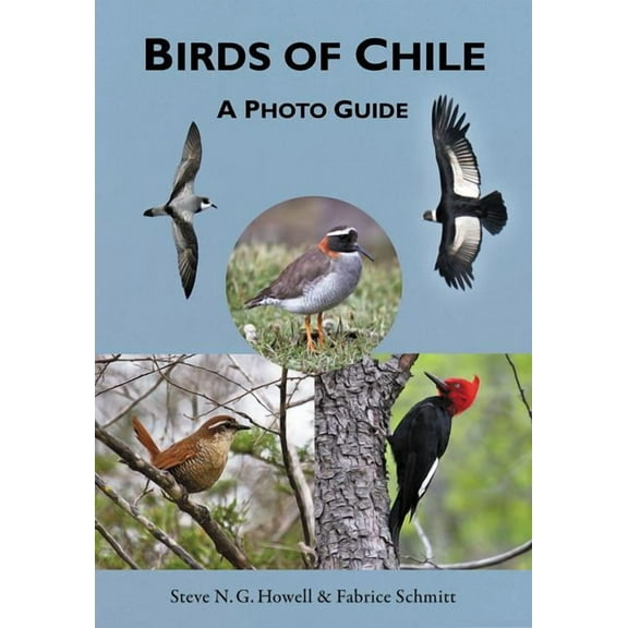 Birds of Chile: A Photo Guide, (Paperback)