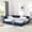 Dark Blue, variant on Noble House Carola Full Size Velvet Daybed Frame, Tufted Upholstered Sofa Bed with Underbed Storage Drawers, Black