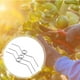thumbnail image 5 of 5pcs poda de manzadas de corte de cizallamiento poda universal resortes para tijeras de jardín, 5 of 8