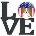 thumbnail image 1 of Caroline's Treasures - Decoración de pared con diseño de papillon y bandera americana en metal, multicolor Caroline's Treasures BB2178WALV, 1 of 1