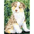 thumbnail image 1 of Carolines Treasures SS8847GF 11 x 15 In. Australian Shepherd Flag- Garden Size, 1 of 3