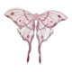 thumbnail image 1 of Elegante disfraz de alas de hada para fiesta de Halloween, carnaval, ángel, mariposa, princesa Rosa, 1 of 9