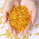 thumbnail image 4 of Xiao Hua Piedra triturada de cristal natural de 1 kg, color amarillo optimizado, adición de 5-7 mm, adorno de piedra natural, cuentas desmagnetizantes, maceta, piedra decorativa para pecera, 4 of 5