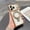 Gold, variant on for iPhone 16 Pro Plating Magnetic Ring Kickstand Straight Edge Matte Case with Lens Protector, Compatible with MagSafe, Protective Ultra Slim Clear Back Cover for iPhone 16 Pro, Orange