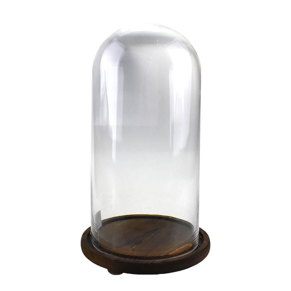Glass Dome with Wood Base, 13Inch