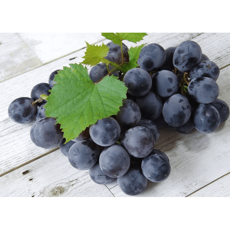 ★Grape／Live Grape Moby Grape - Moby Grape Live - Amazon.com Music