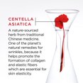 thumbnail image 2 of L'Oréal Paris Revitalift Anti-Wrinkle & Aging Eye Cream, Retinol & Centella Asiatica, 2 of 9