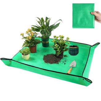 tent camping cot GreenField™ XJC08 Folding Boomerang Phrase Sampler Looper year-2015 Annex:Annex included This camping cots unique