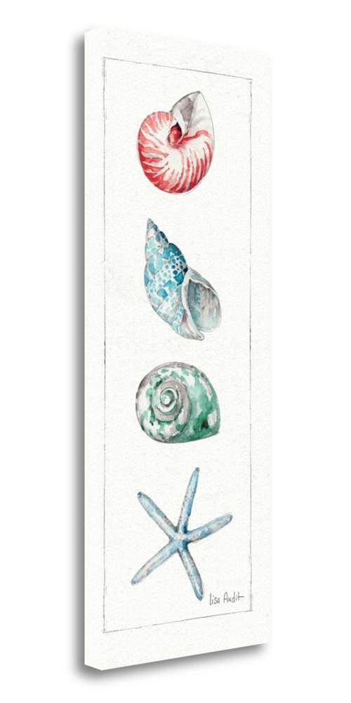 Sea Finds Iv By Lisa Audit Fine Art Giclee Print 13 In W X 32 In H 6 Lbs Walmart Com Walmart Com