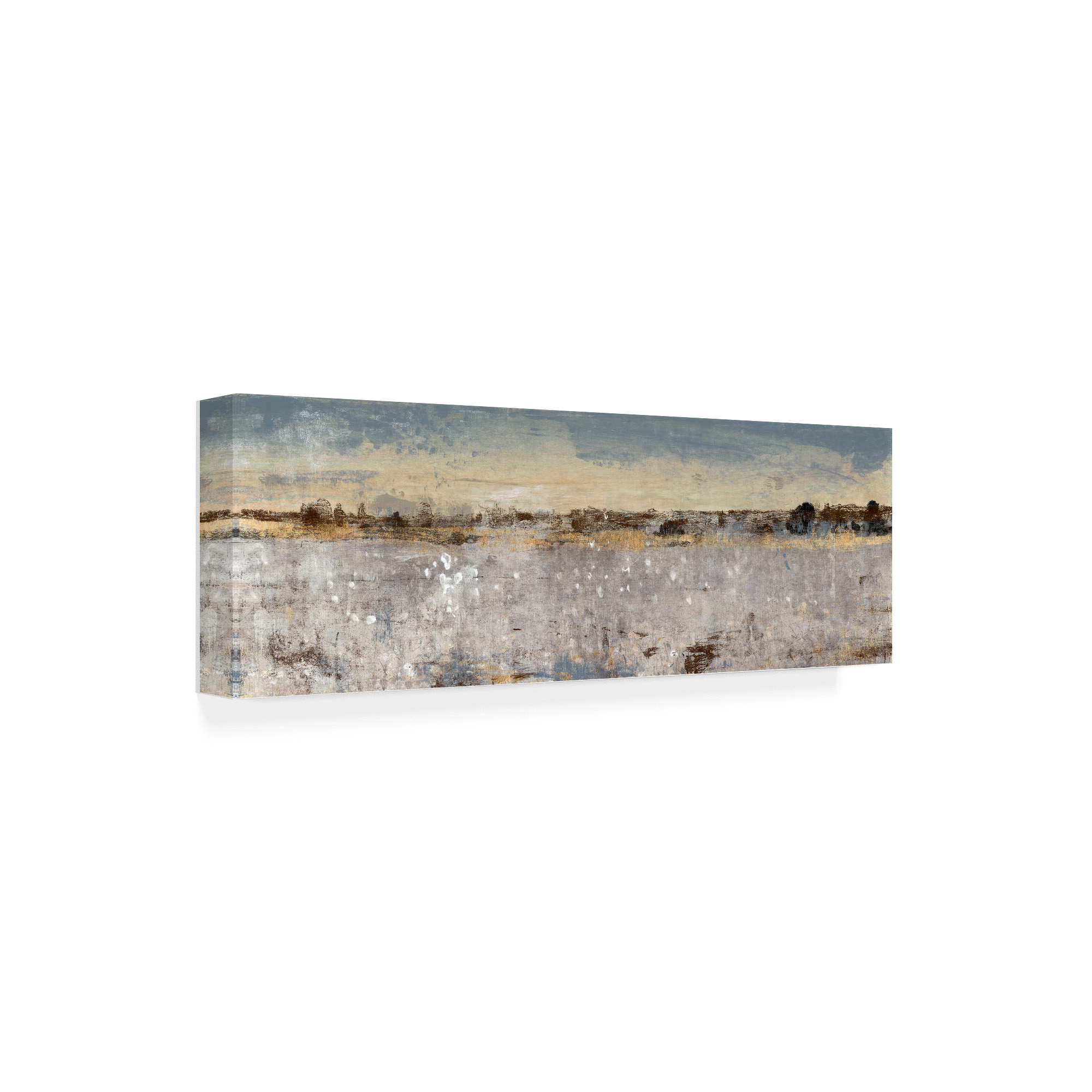 Trademark Fine Art 'Grey Atmosphere I' Canvas Art by Tim OToole